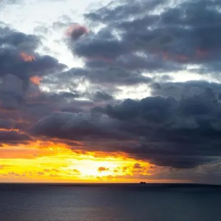 Shearwaters - Sounds Of The Sea Apartman Funchal (Madeira)
