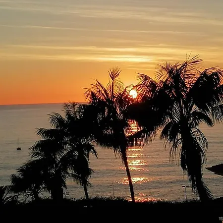 Apartman Shearwaters - Sounds Of The Sea *