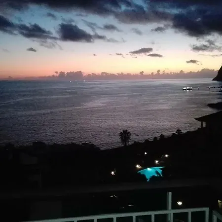 Apartman Shearwaters - Sounds Of The Sea *